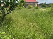 3 sot torpaq sahəsi, Qusar r.