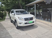 Toyota Prado, 2010 il