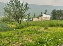 6 sot torpaq sahəsi, Qusar r.