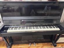 Piano Lira