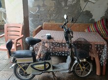 Moped, 2004 il 