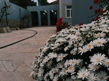 Bağ evi, Şüvəlan qəs.