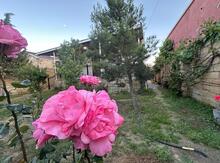 Həyət evi, Binəqədi r.