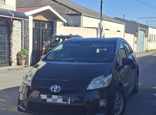 Toyota Prius, 2011 il