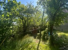 6 sot torpaq sahəsi, Qusar ş.