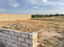 6 sot torpaq sahəsi, Ləhiş bağları