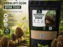 Quzuqarni yetisdirme sporu