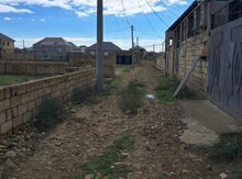 4 sot torpaq sahəsi, Saray qəs.