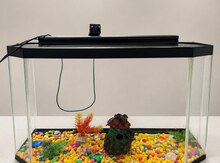 Akvarium və aksesuarları