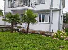 Həyət evi, Zaqatala ş.
