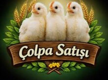 Çolpalar