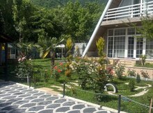 Həyət evi kirayə verilir, Qəbələ r.