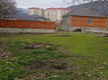 9 sot torpaq sahəsi, Zaqatala ş.