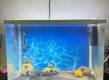 Aval Akvarium