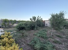 5 sot torpaq sahəsi, Qala qəs.