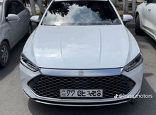 BYD Qin Plus, 2024 il
