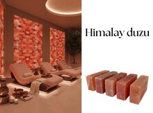 Himalay duzu