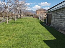 4 sot torpaq sahəsi, Zaqatala r.
