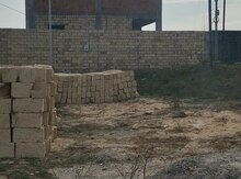 1.91 sot torpaq sahəsi, Saray qəs.