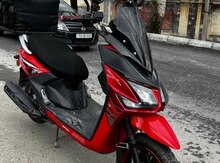 Moped, 2024 il