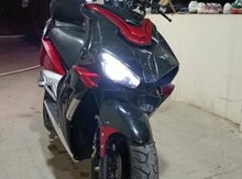 Moped 2024 il