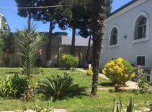 Bağ evi kirayə verilir, Novxanı qəs.