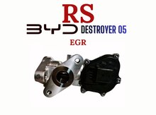 BYD QIN plus / Destroyer 05 EGR 