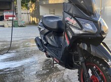 Moped, 2025 il