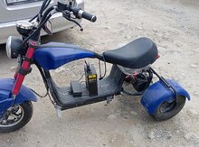Mingo elektrik, 2024 il