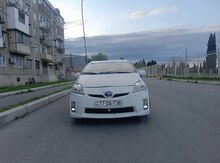 Toyota Prius, 2010 il