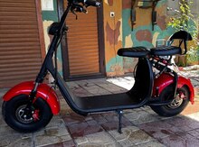 Elektrikli moped, 2024 il 