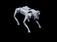 Unitree GO2 robot