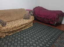 Həyət evi kirayə verilir, Gənclik m.