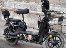 Moped, 2025 il