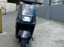 Moped, 2025 il