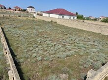 5 sot torpaq sahəsi, Türkan qəs.