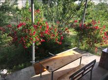 Bağ evi kirayə verilir, Quba r.
