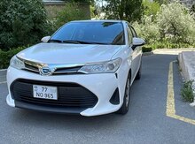 Toyota Fielder icarəsi