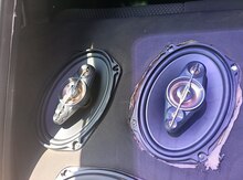 Pioneer dinamikləri