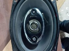 Pioneer dinamiki