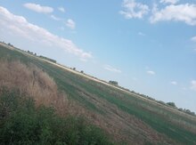 235 sot torpaq sahəsi, Sabirabad r.