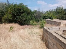 5.5 sot torpaq sahəsi, Mingəçevir r.
