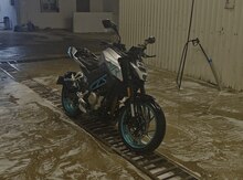 Cf moto 300NK, 2022 il