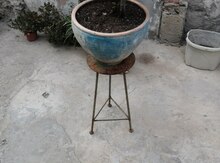 Dibçək dekoru