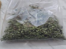 Kəklikotu