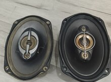 Pioneer 300 maqnitolası