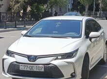 Toyota Corolla, 2024 il