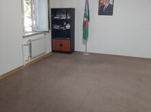 Ofis icarəyə verilir, Nəriman Nərimanov m.