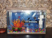 Akvarium və balıqlar