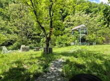 Bağ evi kirayə verilir, İsmayıllı r.